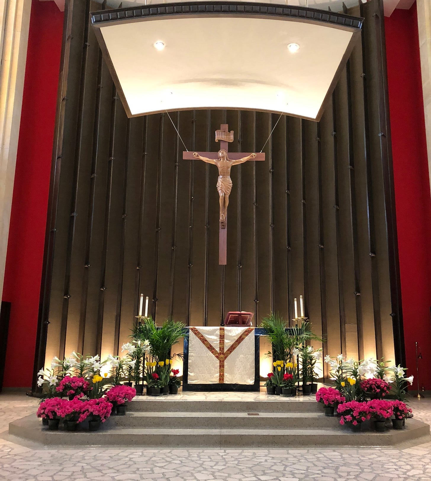 No photo description available. No photo description available.