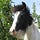 Eggsy Pony & Friends' Substack