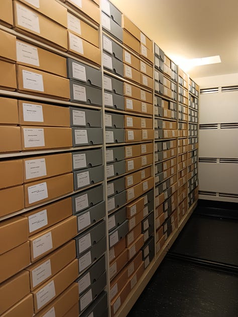 Three photos: 1 Silver fern four pieces two white side two brown side. 2. Another specimen this one rubiaceae. 3. Very orderly herbarium shelving, the boxes fit perfectly on the shelves filling them entirely