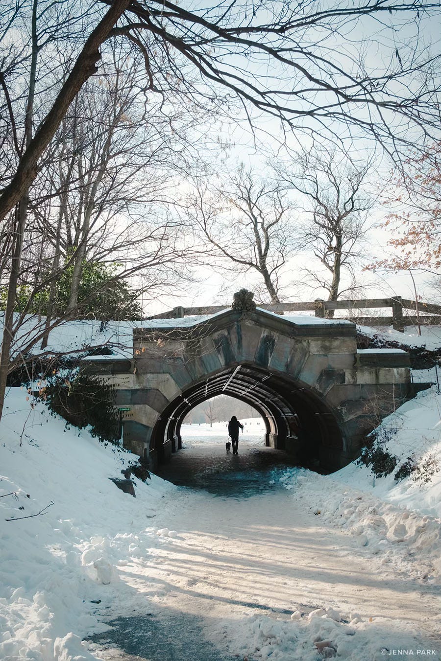 Prospect Park arch in blue hour