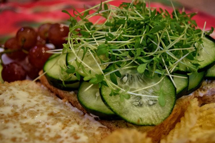 Cress and Cucumber Sandwich
