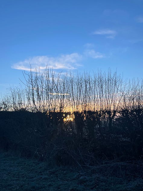 sunrise over frosty fields
