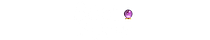 Seer Reports