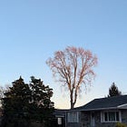 the most important thing I've learned about listening to your inner voice