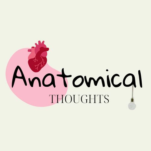 Anatomical Thoughts