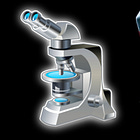 What Science Says About Free Will