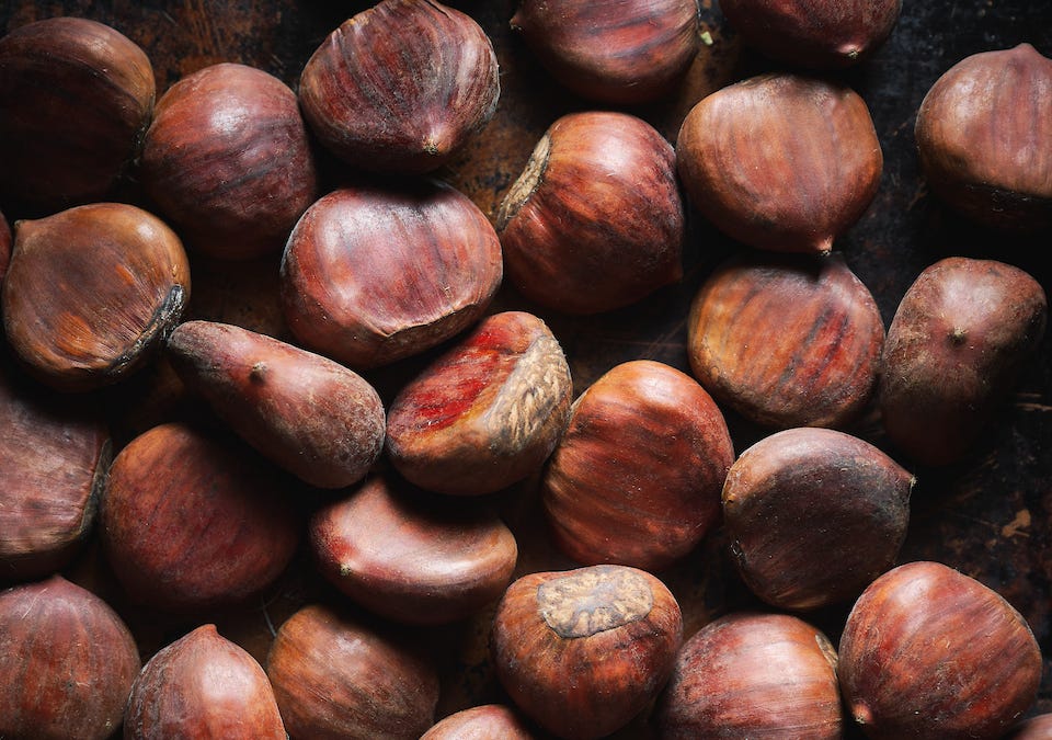 Comments - Color on Purpose (PART 2): How to Best Use Monochromatic ...