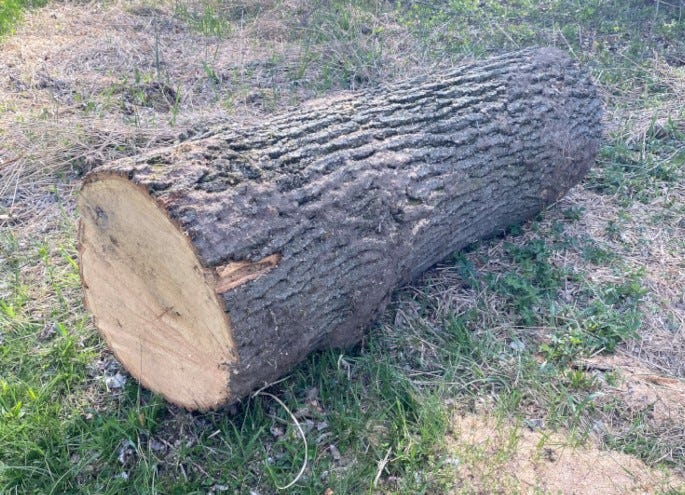 Oak, Cherry and Maple logs
