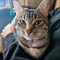Rheeven Aton's avatar
