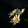 Chamomile Thoughts