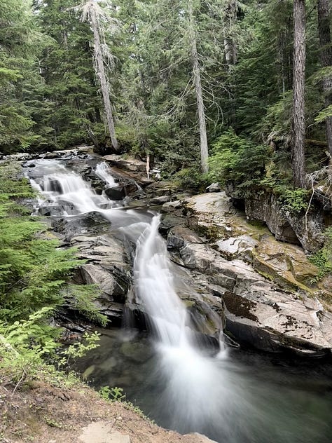Hiking inside mount Tahoma park