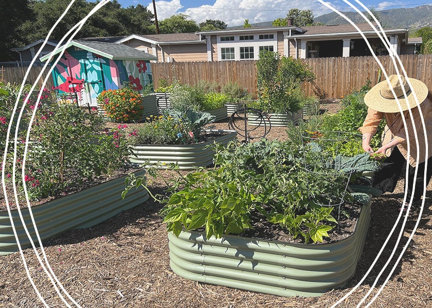 Woman in straw hat pruning in a raised garden bed near Ojai, California