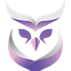 Insight Owl