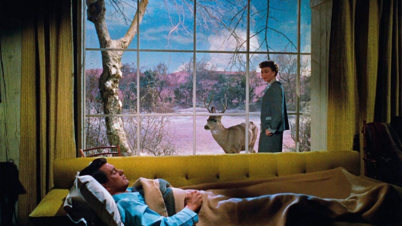 Buy cinema tickets for Member Salon: All That Heaven Allows | BFI Southbank