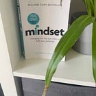 BOOK REVIEW: Mindset by Dr Carol S Dweck