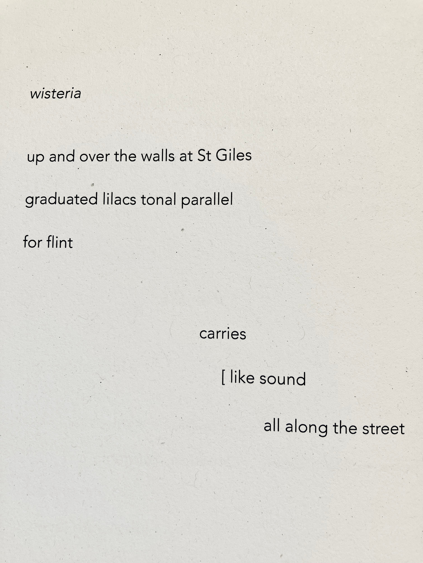 wisteria up and over the walls at St Giles graduated lilacs tonal parallel for flint carries [like sound all along the street