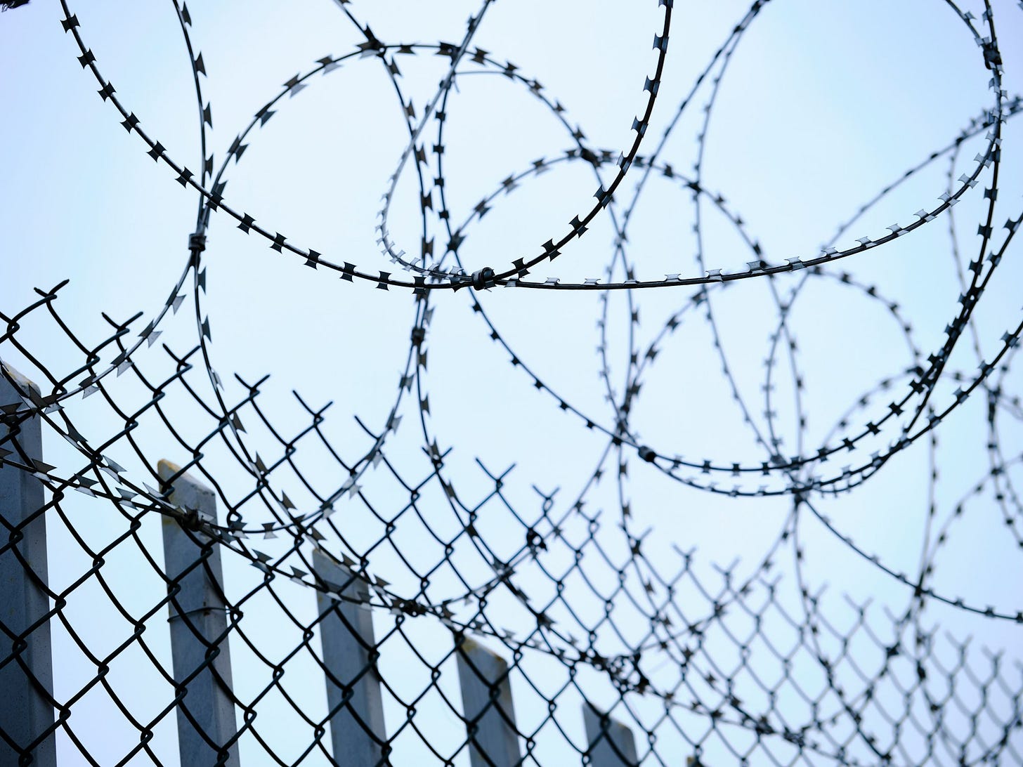 Foto: Engin Akyurt / Unsplash Foto: Engin Akyurt / Unsplash