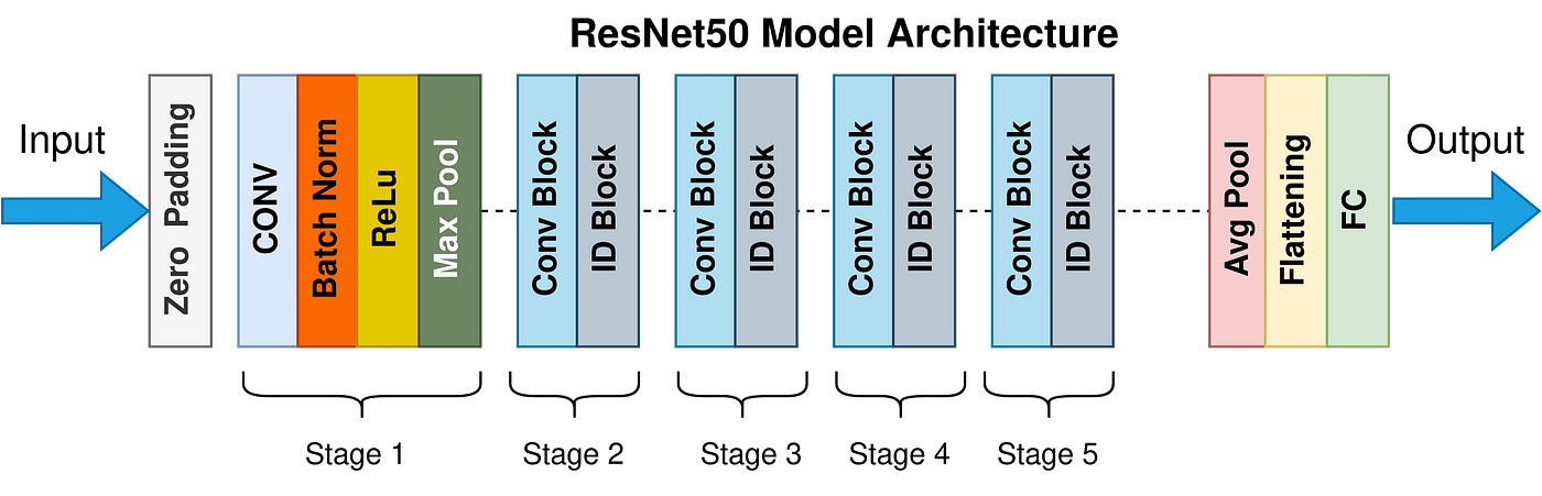 The Annotated ResNet-50. Explaining how ResNet-50 works and why… | by  Suvaditya Mukherjee | TDS Archive | Medium