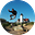 Mauro Comi's avatar