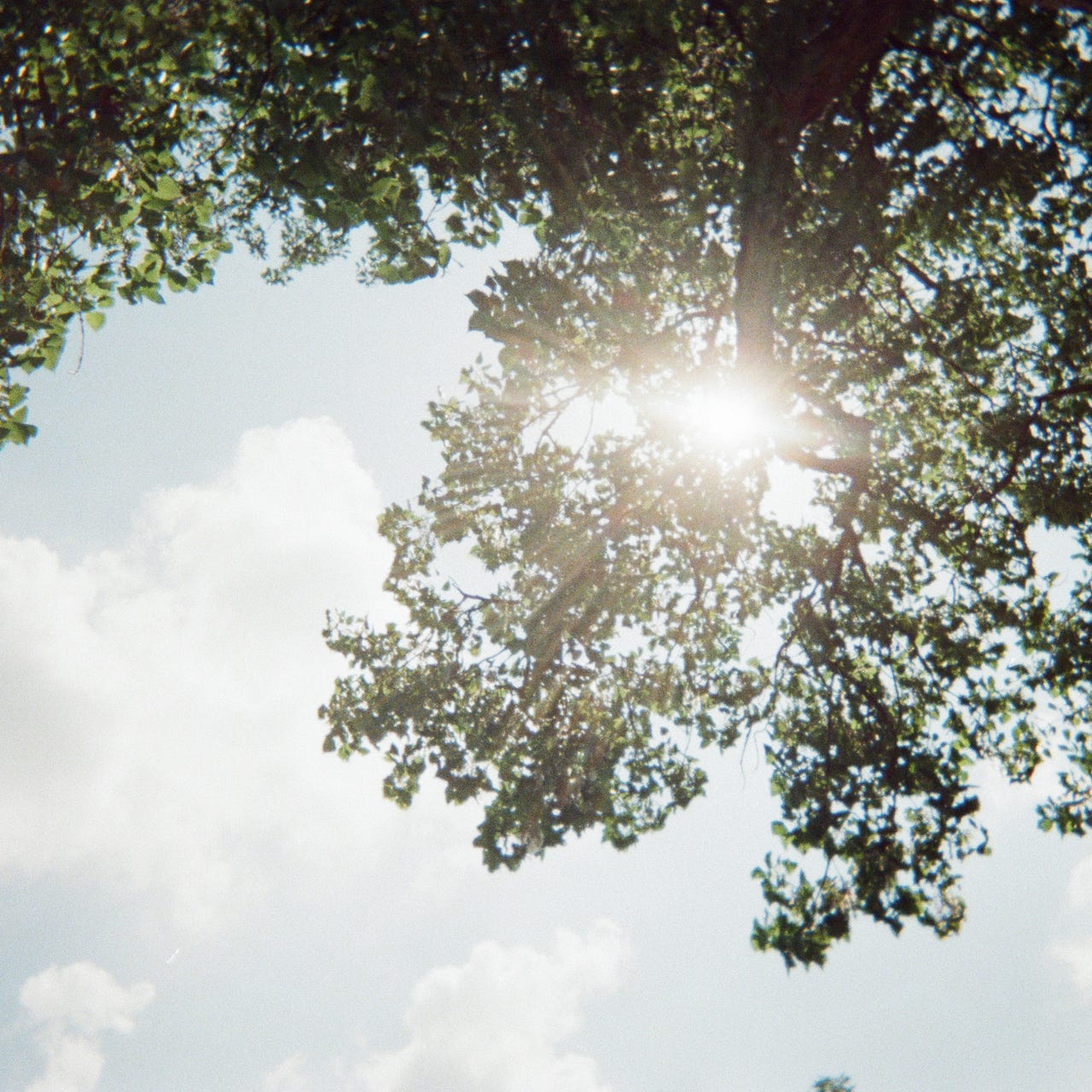 everything is ephemera