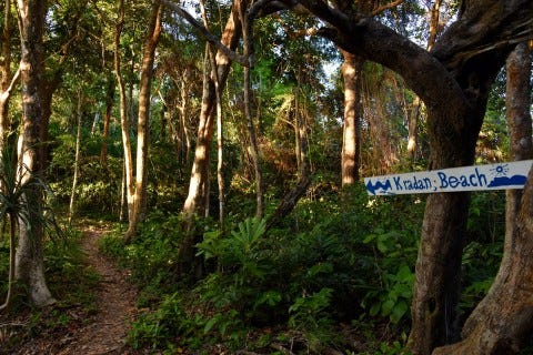 Just follow the signs...