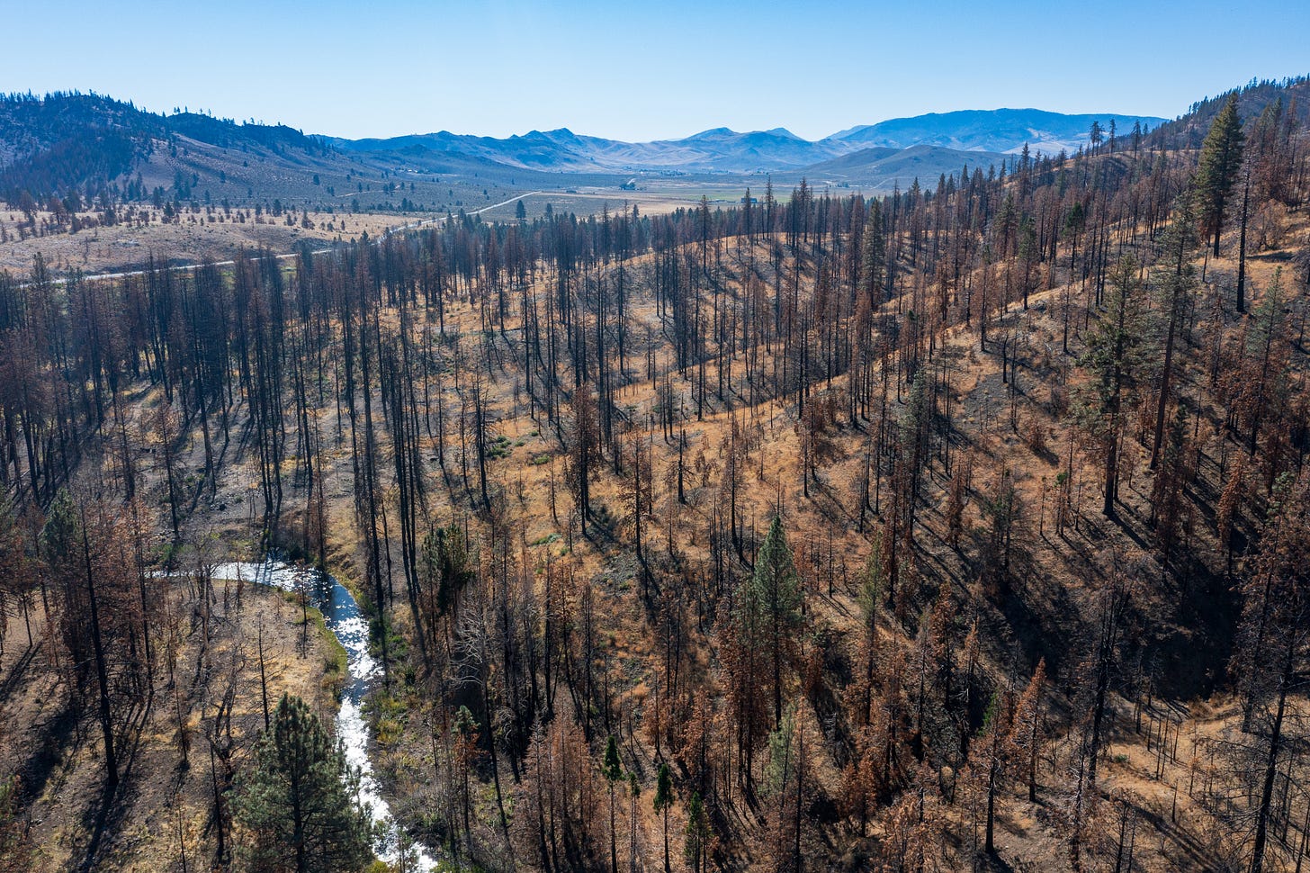 An aerial view of a creek flowing through the burn scar of the 2021 Beckwourth Complex Fire.