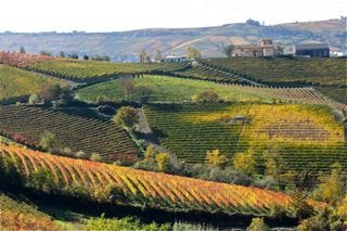Awine – landscape 5 Awine – landscape 5