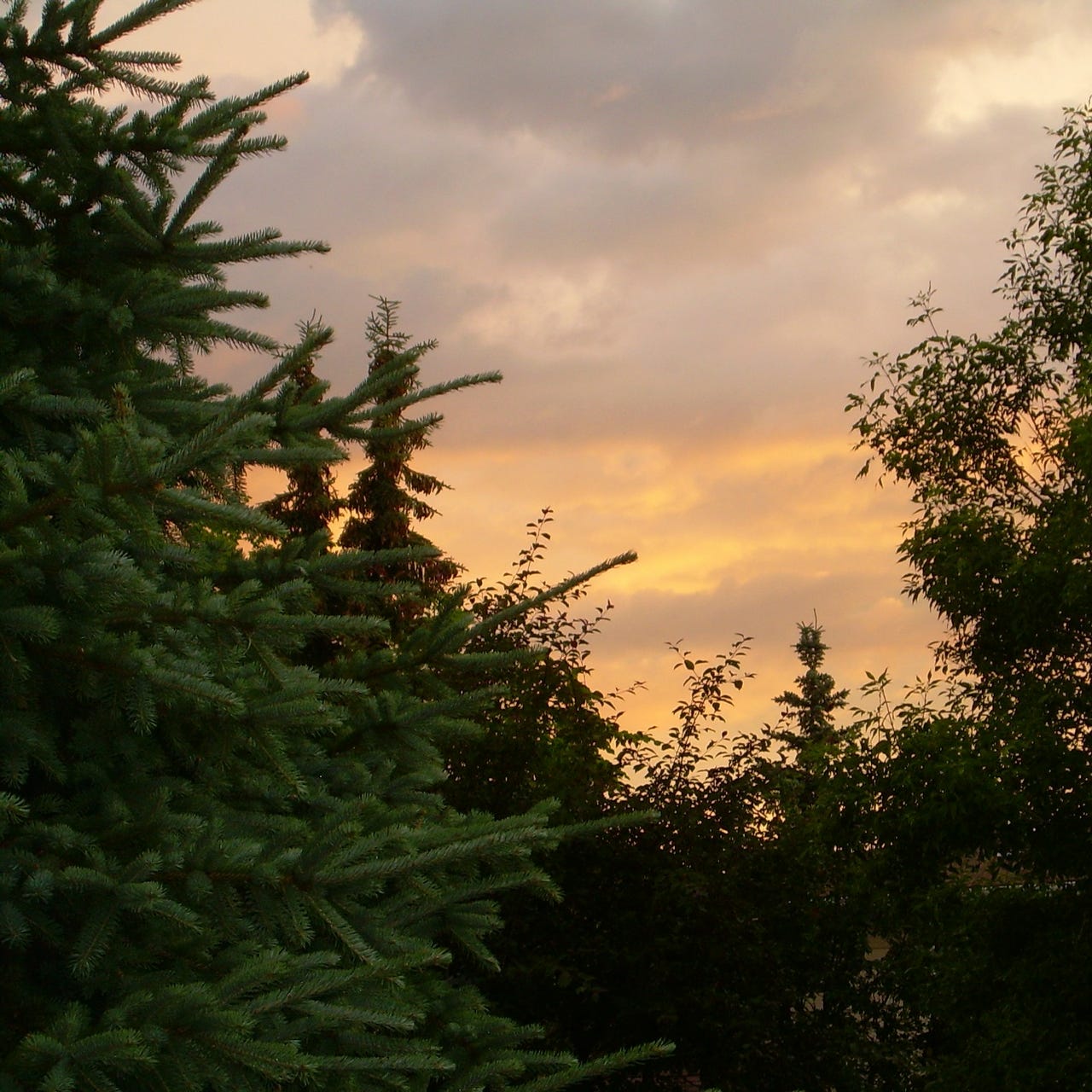 Songs from the Hidden World