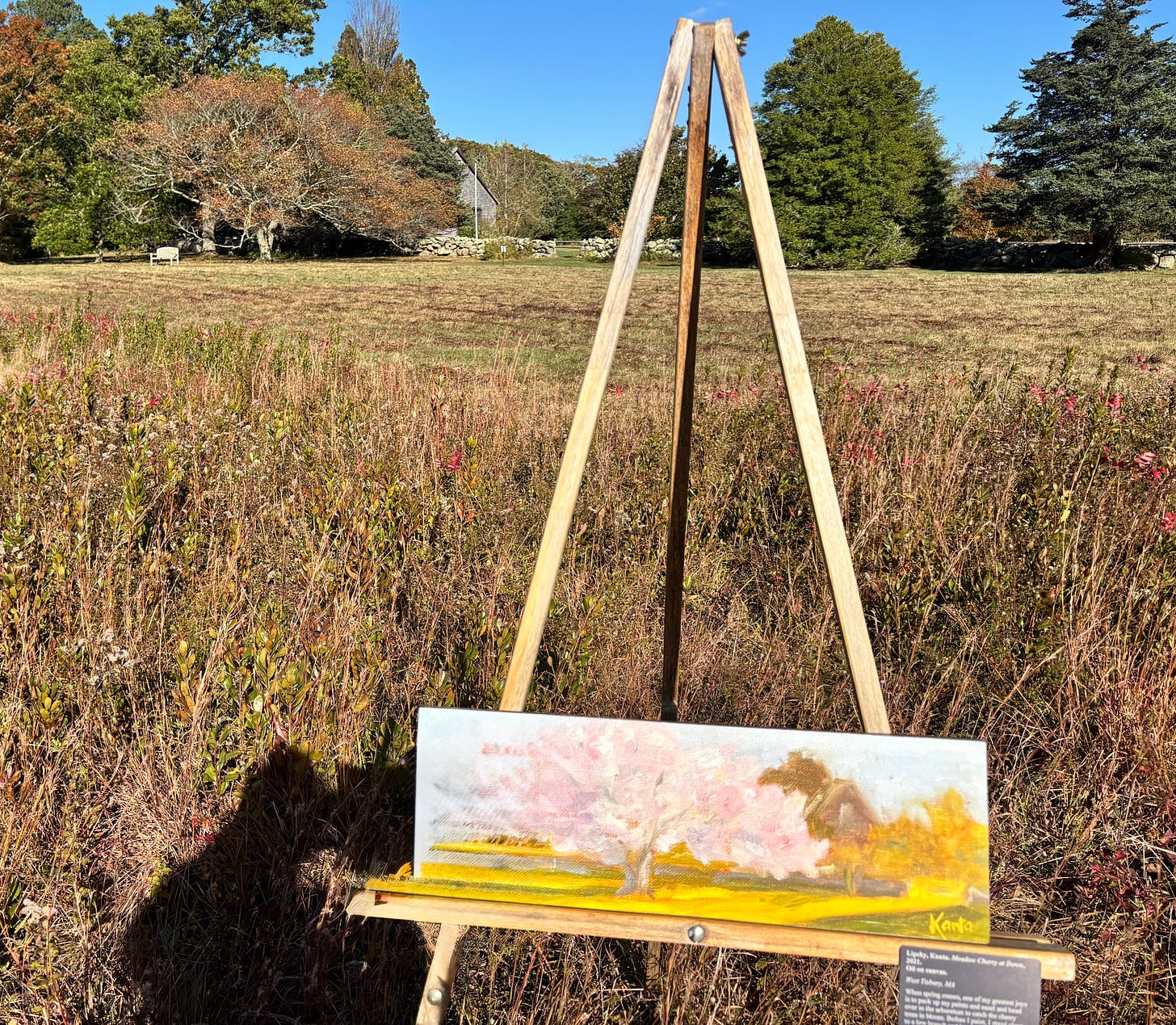 oil painting in a Martha's Vineyard meadow, Kanta Lipsky oil painting in a Martha's Vineyard meadow, Kanta Lipsky