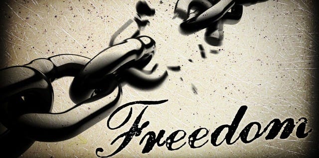 Branches In The Vine: It was for Freedom that Christ set us Free