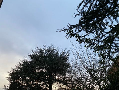 Nine photographs of the sky featuring various cloud types, colours and trees