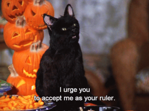 Sabrina the Teenage Witch gifs - Sabrina The Teenage Witch Fan Art  (38931610) - Fanpop