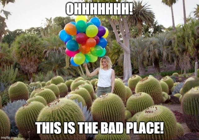 It is 2020, the gates of hell are open, I don't understand why no one else  made this image into a meme that you place under bad news : r/TheGoodPlace