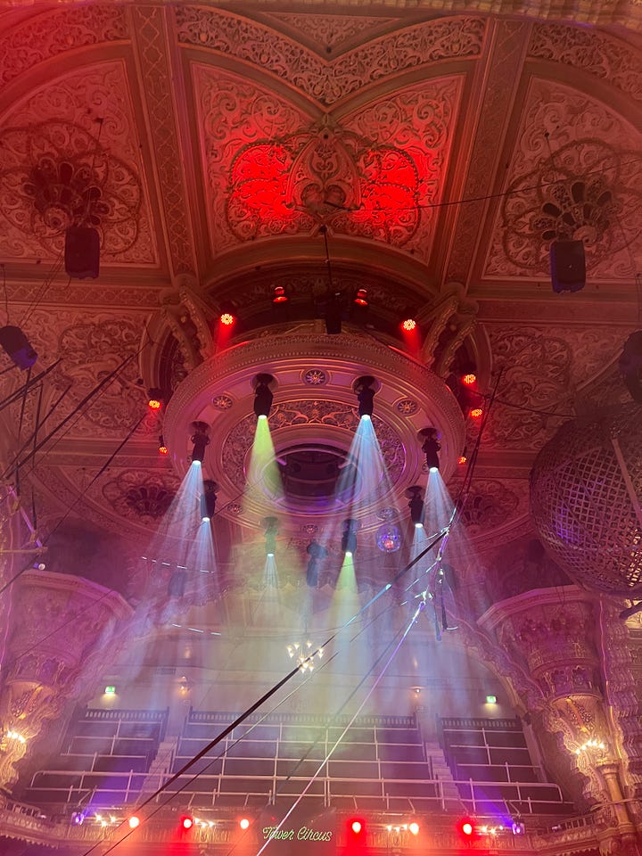 An image of white daffodils, a kite flying in a blue sky, a small snail on concrete, blossom trees, a single tree in a field in shadow from the setting sun, colourful lights shining from the ceiling of the circus, shadows of two people on the sand at the beach.