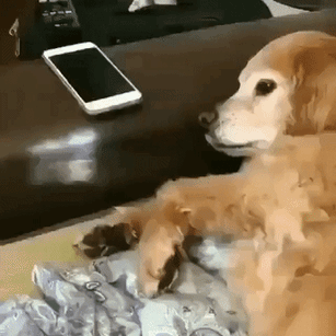 Enough Screen Time GIFs - Get the best GIF on GIPHY