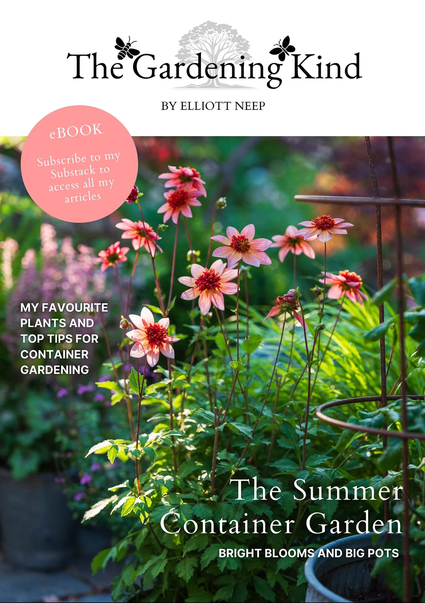 The Summer Container Garden eBook - click to download