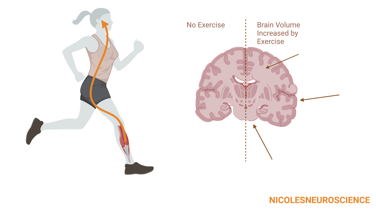 A diagram of a person running

AI-generated content may be incorrect.