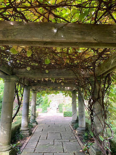 A feast for the eyes on a stroll in Newport