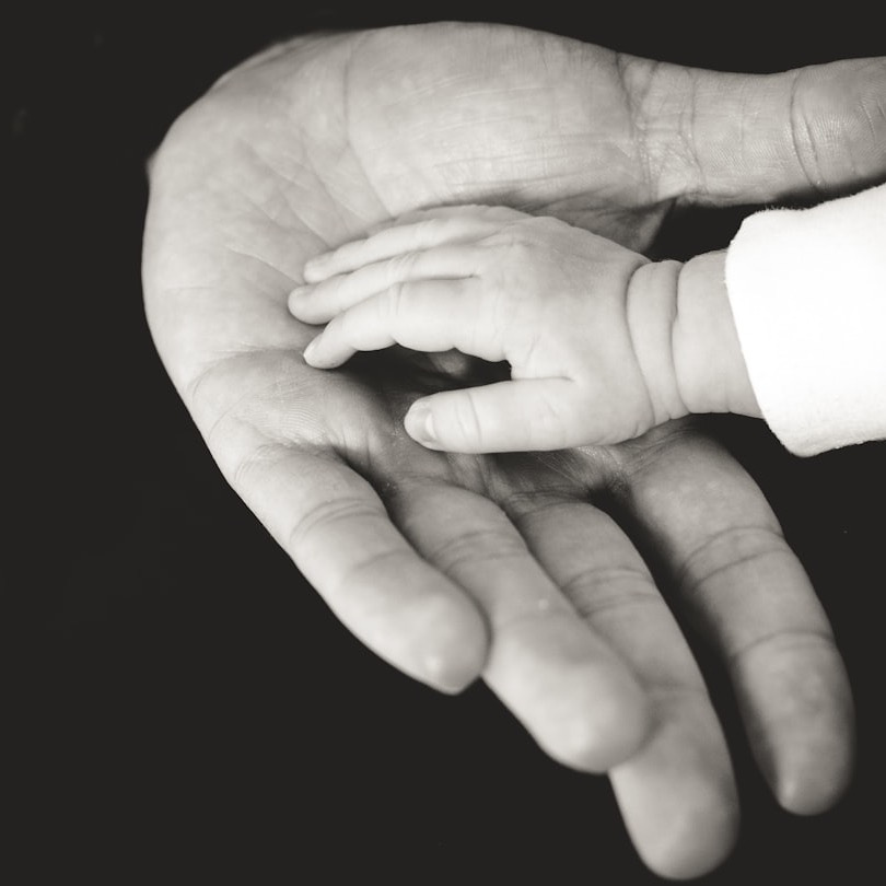 child and parent hands photography