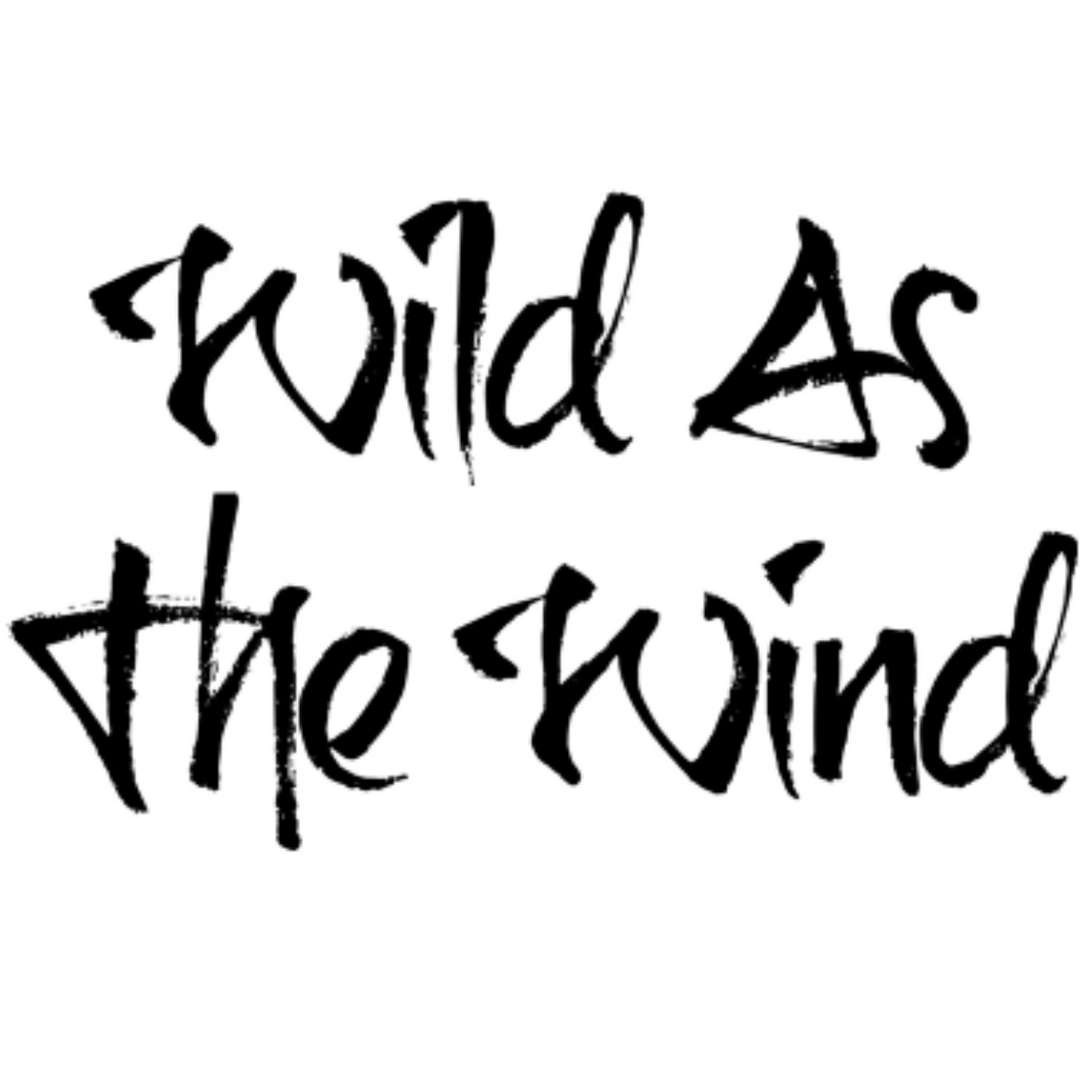 Wild As The Wind Newsletter