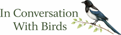 In Conversation With Birds