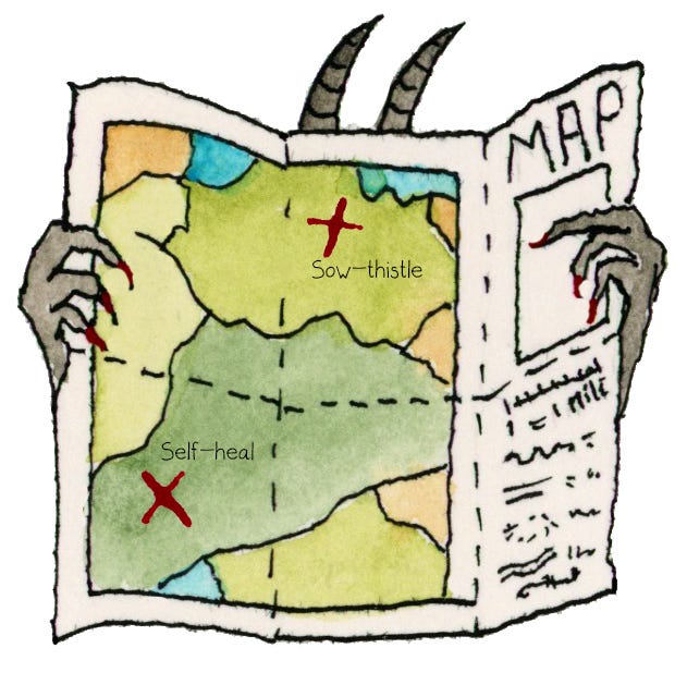 illustration of a devil reading a map