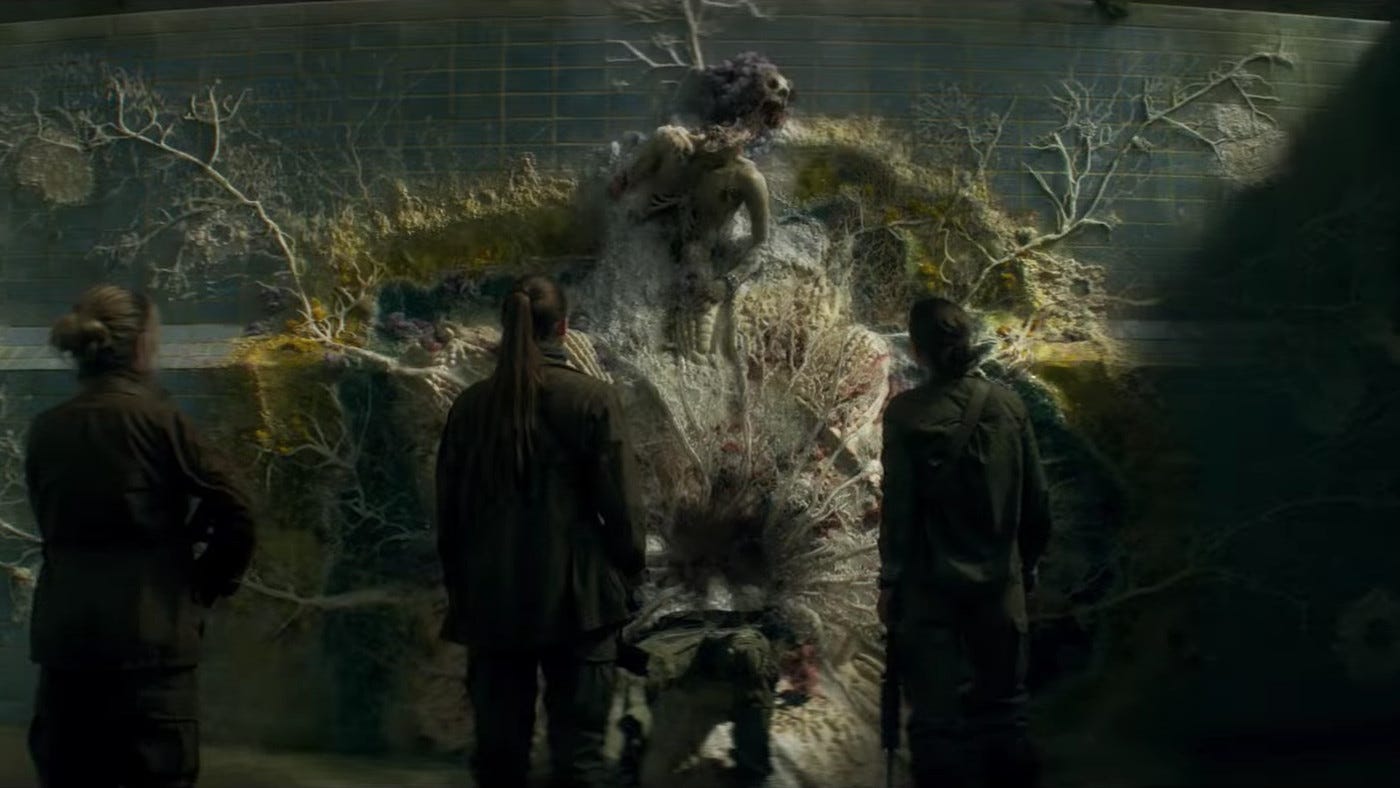 A new trailer for Alex Garland's Annihilation shows off the weirdness of  Area X - The Verge