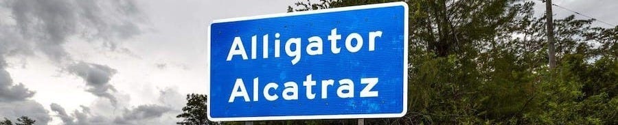 Hundreds of Alligator Alcatraz detainees drop off the grid after leaving site Hundreds of Alligator Alcatraz detainees drop off the grid after leaving site