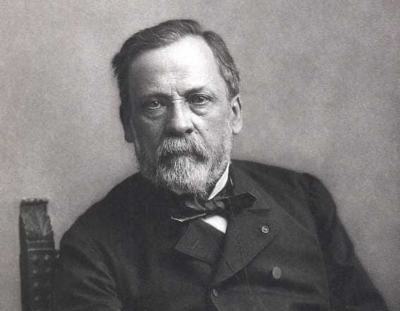 Portrait of Louis Pasteur
