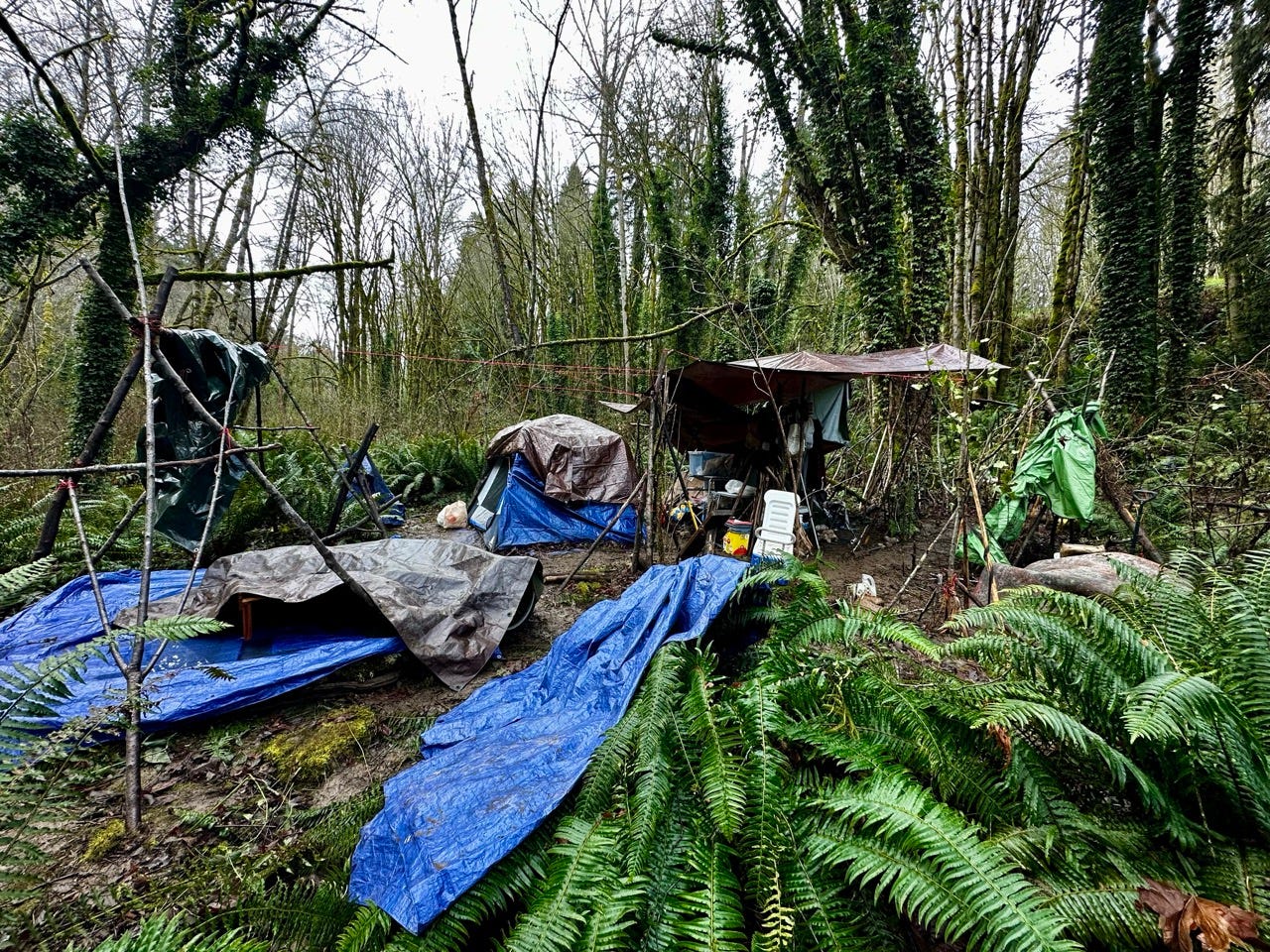 A group of tents in the woods

Description automatically generated