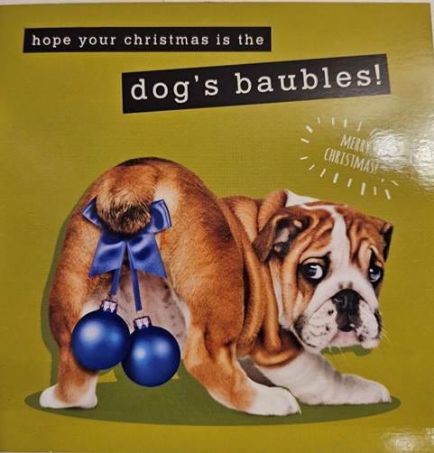 A dog with blue balls on its back

AI-generated content may be incorrect.