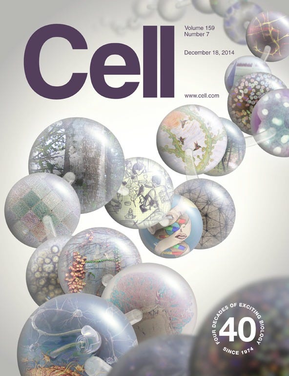 Issue: Cell