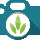  The Photo Detective News