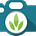  The Photo Detective News
